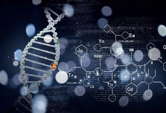 Biochemistry